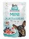 Psi - krmivo - Brit Care Dog Mini Salmon&Herring steril fillets