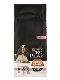 Psi - krmivo - ProPlan Dog Adult 7+Sensitive Medium&Large Salmon