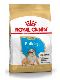 Psi - krmivo - Royal Canin Breed Buldog Puppy/Junior