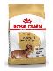 Psi - krmivo - Royal Canin Breed Jezevčík