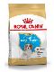 Psi - krmivo - Royal Canin Breed Kavalír King Charles Junior