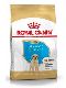 Psi - krmivo - Royal Canin Breed Labrador Junior