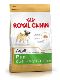 Psi - krmivo - Royal Canin Breed Mops