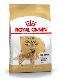 Psi - krmivo - Royal Canin Breed Zlatý Retriever
