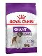 Psi - krmivo - Royal Canin Giant Adult