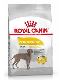 Psi - krmivo - Royal Canin Maxi Dermacomfort