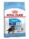 Psi - krmivo - Royal Canin Maxi Puppy