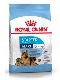 Psi - krmivo - Royal Canin Maxi Starter Mother&Babydog