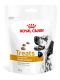Psi - krmivo - Royal Canin VHN Dog Urinary Treats
