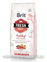 Psi - krmivo - Brit Fresh Dog Beef & Pumpkin Puppy Large